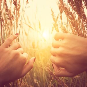 Bilan de vitalité et recommandations d’hygiène de vie globale