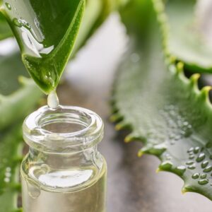 L'aloe vera
