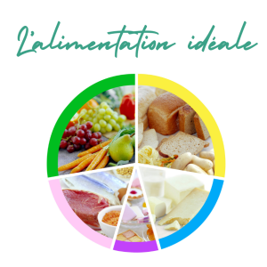 L'alimentation idéale santé